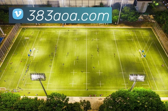 多彩内容专区